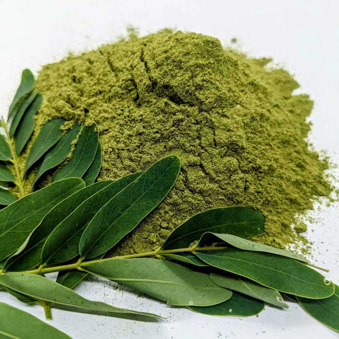 5kg+ Dried Moringa Oleifera Leaf/Leaves powder, 100% Organic natural Dried Leaves Powder | Ceylon Organic-4