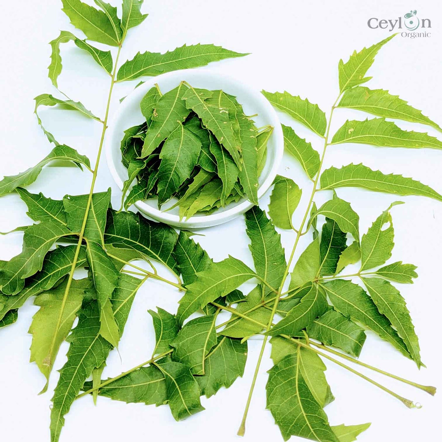 2kg+ Neem Leafs, Neem Leaves, Dried Neem Leaf, Dried Neem Leaves | Ceylon Organic-2