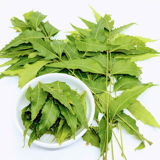 2kg+ Neem Leafs, Neem Leaves, Dried Neem Leaf, Dried Neem Leaves | Ceylon Organic-0