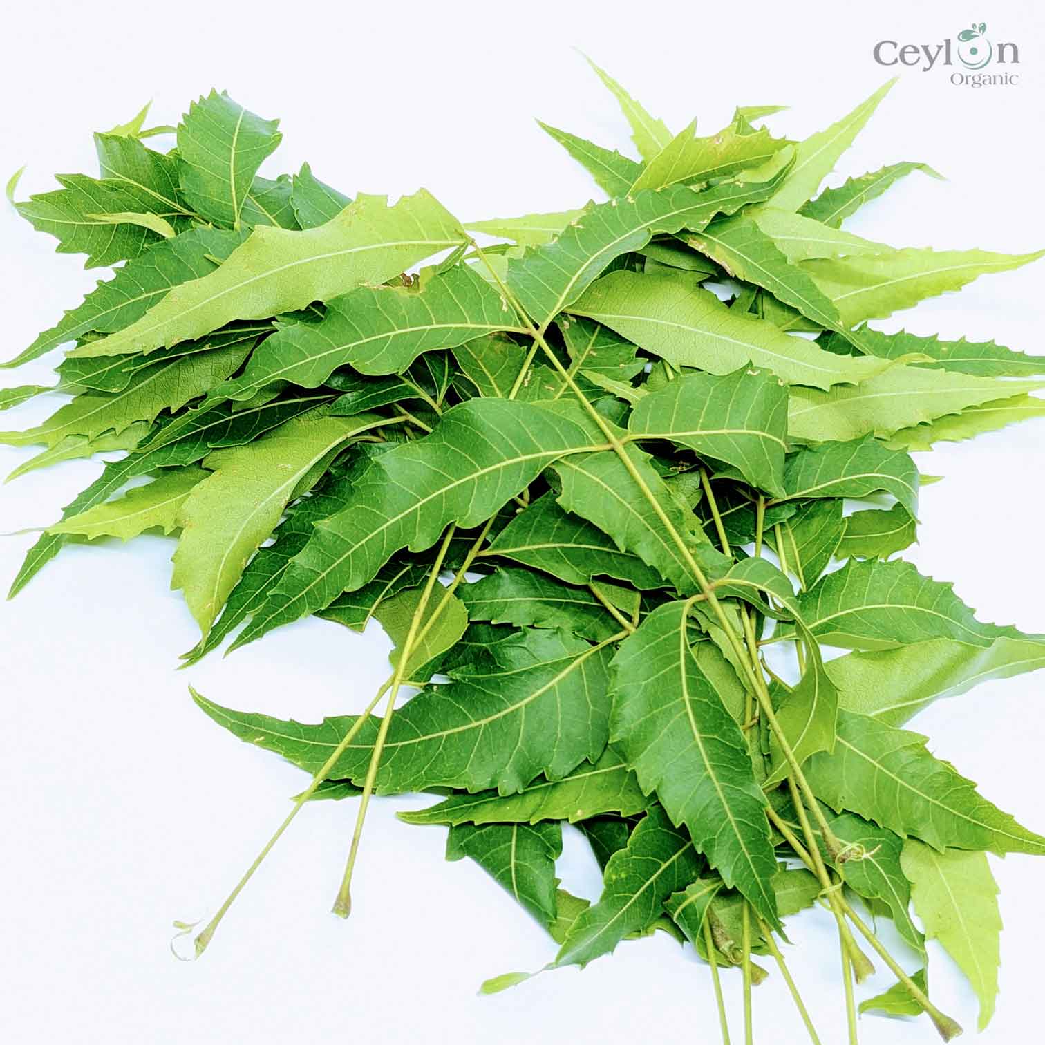 2kg+ Neem Leafs, Neem Leaves, Dried Neem Leaf, Dried Neem Leaves | Ceylon Organic-3