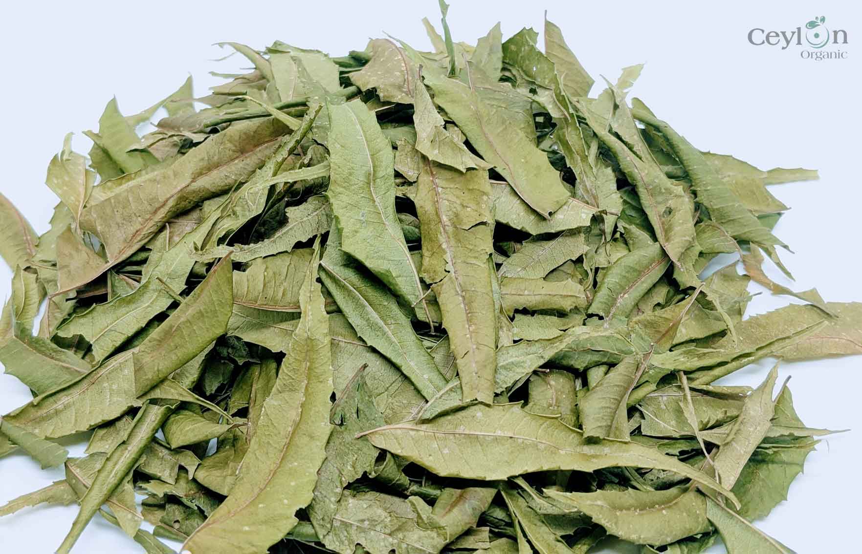 2kg+ Neem Leafs, Neem Leaves, Dried Neem Leaf, Dried Neem Leaves | Ceylon Organic-5