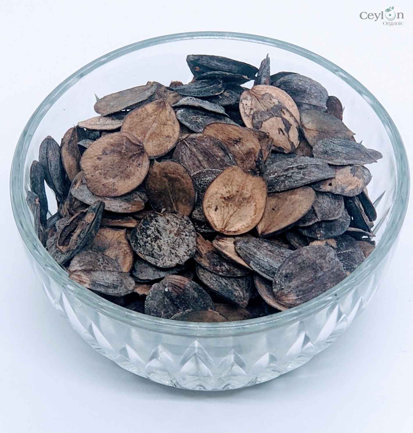 50+ Dried Night Jasmine Seeds, Nyctanthes Arbor-tristis, Night Jasmine, Coral Jasmine | Ceylon Organic-3