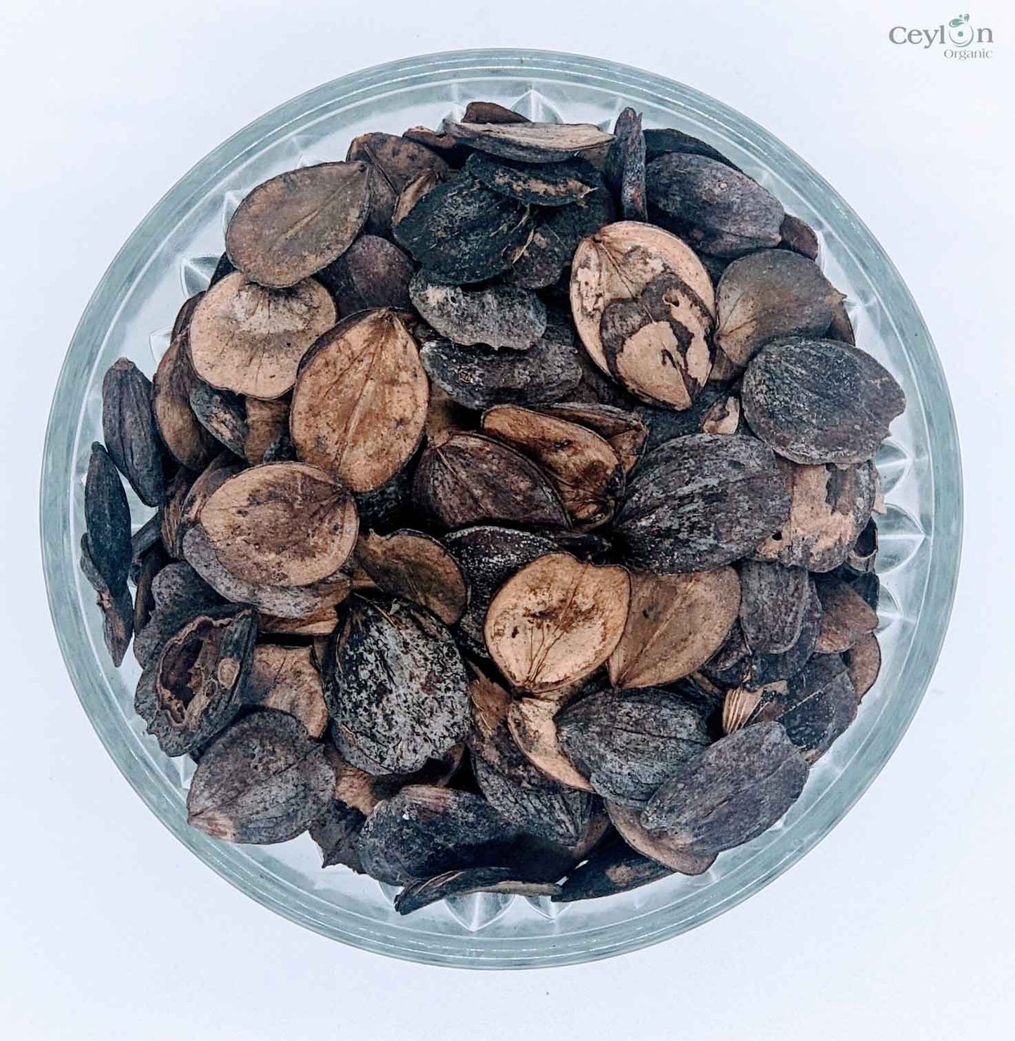 50+ Dried Night Jasmine Seeds, Nyctanthes Arbor-tristis, Night Jasmine, Coral Jasmine | Ceylon Organic-6
