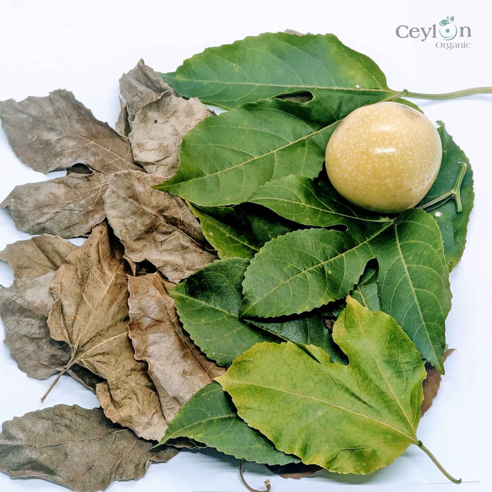 500+ Passion Fruit,Dried Passion Fruit Leaves,Dried Natural Passion Fruit Leaves | Ceylon organic-1