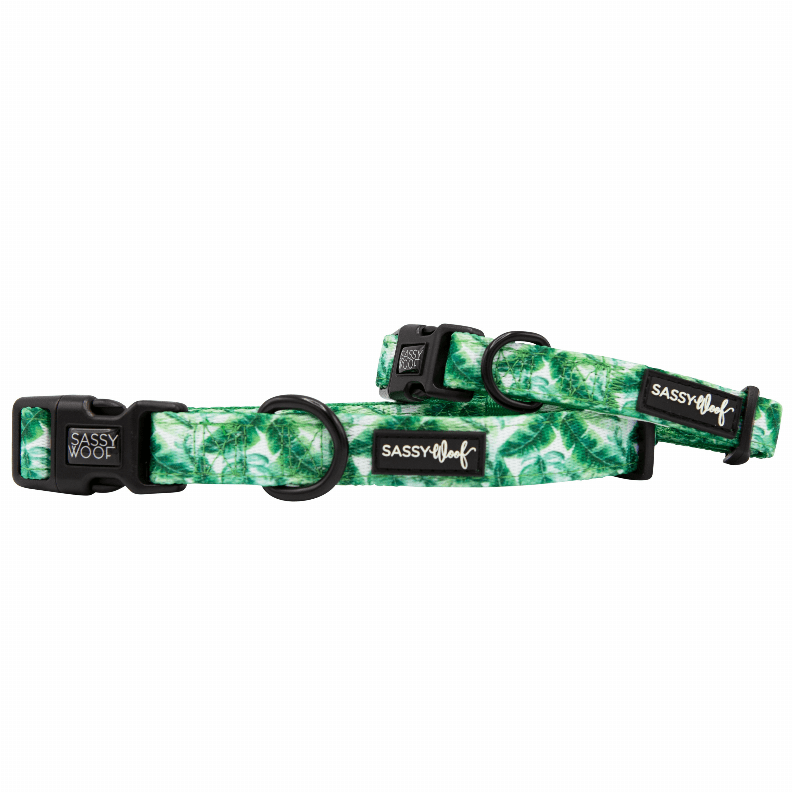 🐶 Sassy Woof "Plant"astic Eco Dog Collar 🌿-1