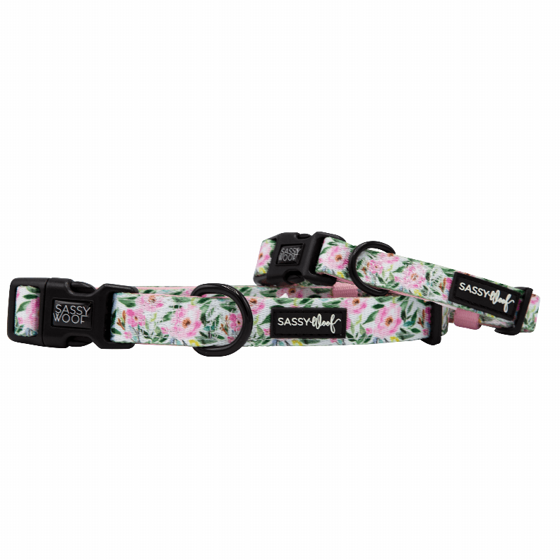 🐶 Sassy Woof "Plant"astic Eco Dog Collar 🌿-11