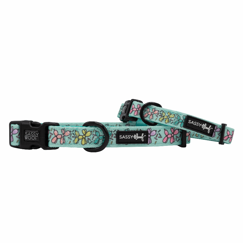 🐶 Sassy Woof "Plant"astic Eco Dog Collar 🌿-15