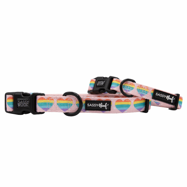 🐶 Sassy Woof "Plant"astic Eco Dog Collar 🌿-20