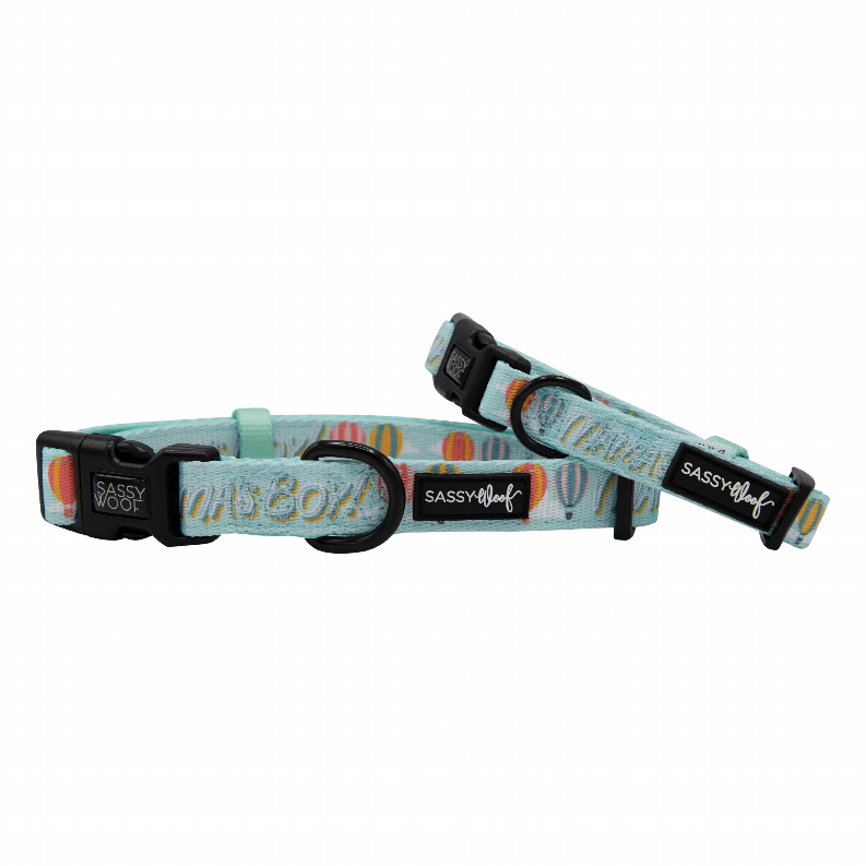 🐶 Sassy Woof "Plant"astic Eco Dog Collar 🌿-69