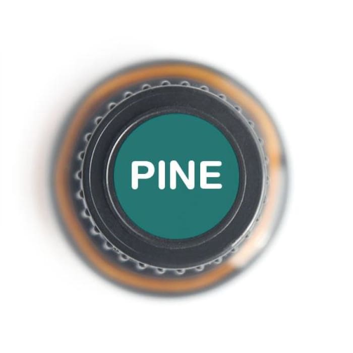 Pine Pure Essential Oil - 15ml-1