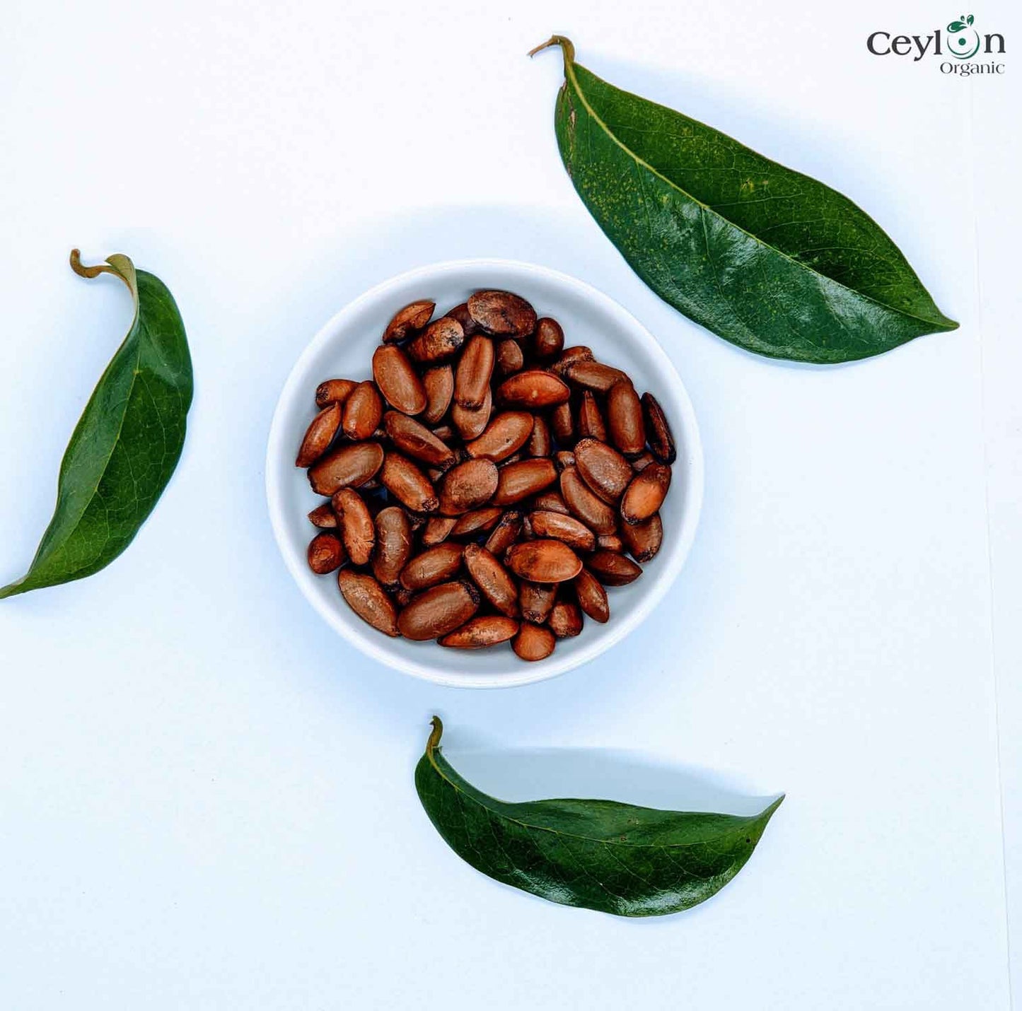 100+ Soursop seeds, Custard Apple Seeds, Annona Muricata, Guanabana Seeds for planting | Ceylon Organic-2