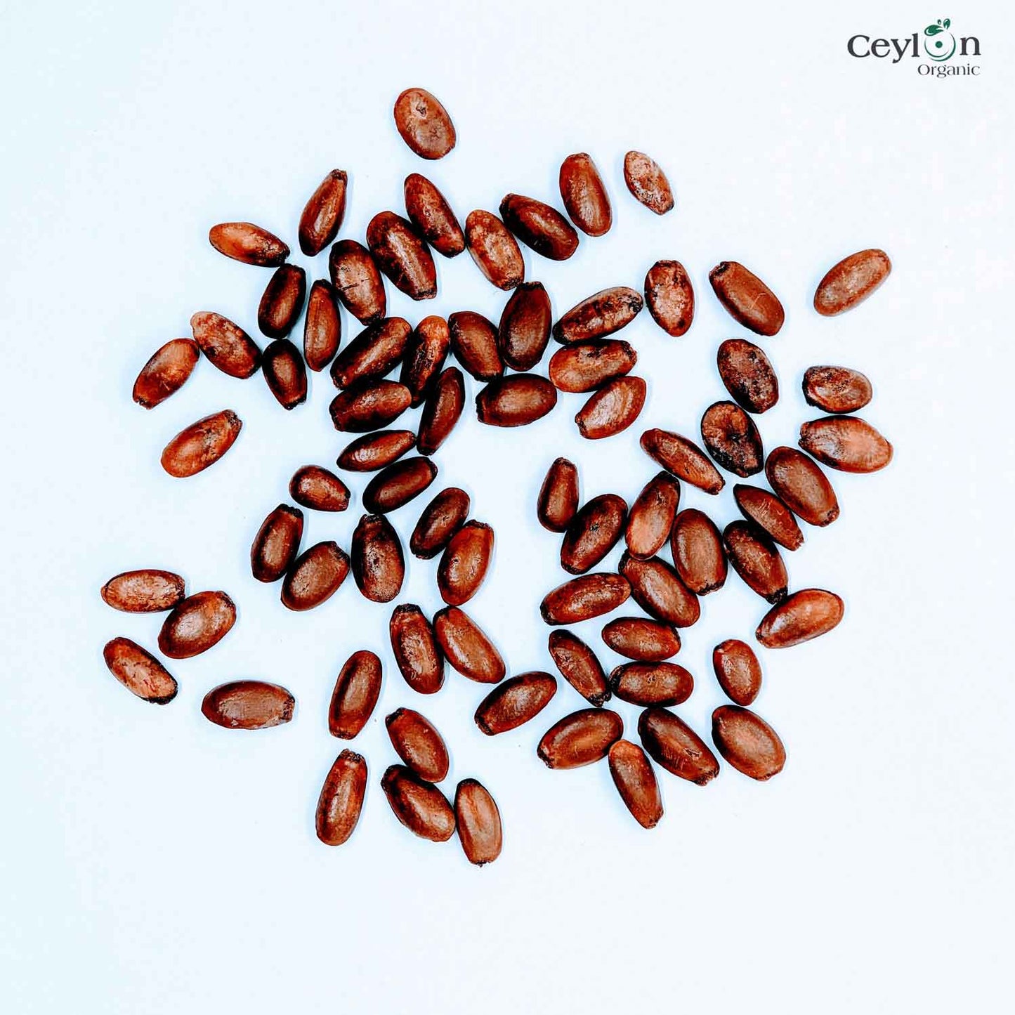 100+ Soursop seeds, Custard Apple Seeds, Annona Muricata, Guanabana Seeds for planting | Ceylon Organic-3