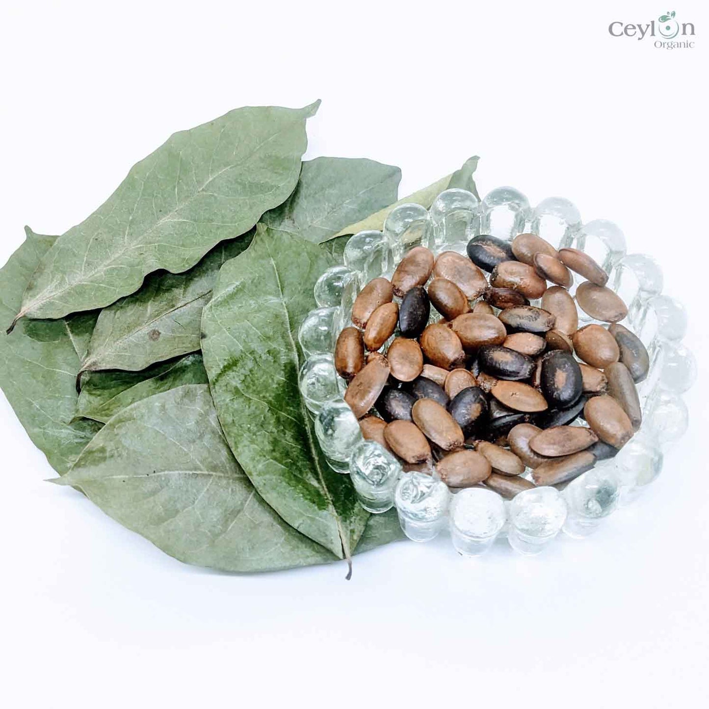 100+ Soursop seeds, Custard Apple Seeds, Annona Muricata, Guanabana Seeds for planting | Ceylon Organic-4