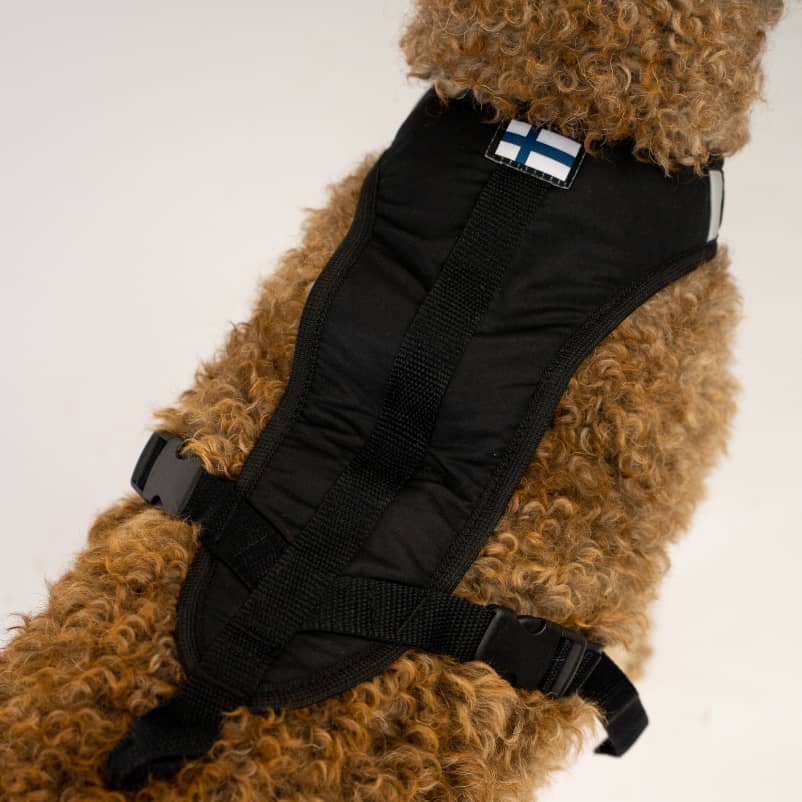 Dog Harness for hiking GOTO2-3