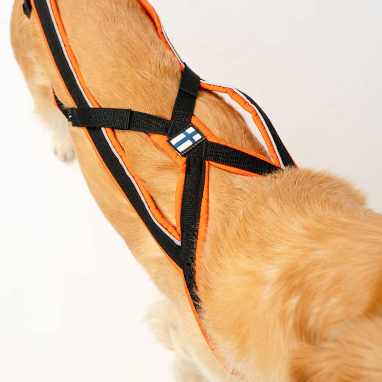 Dog Harness for running GOTO1-5